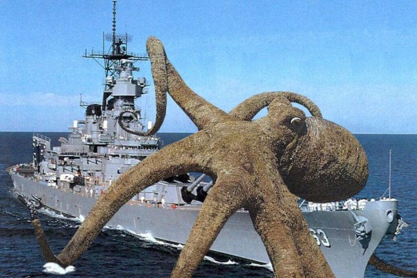 Kraken наркошоп