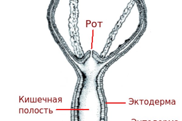 Ссылки тор браузер