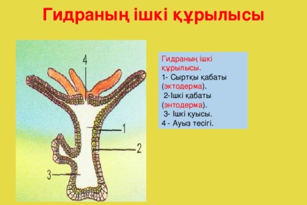 Кракен сайт в тор браузере ссылка